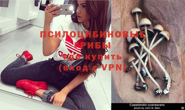 бошки Бородино