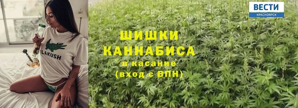 бошки Бородино