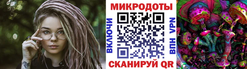 OMG ТОР  дарнет шоп  Камышлов  Псилоцибиновые грибы Magic Shrooms 